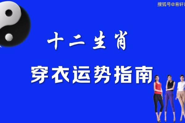 探索2019年猪年之命，运势与生活的必备指南！