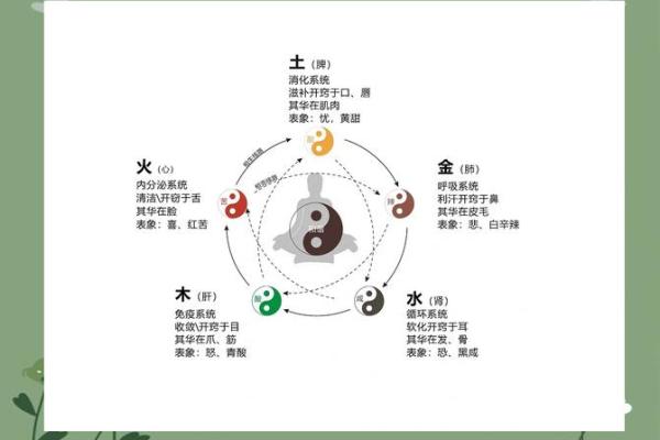 丁丑甲辰戊寅乙卯：探寻五行命理的奥秘与人生启示