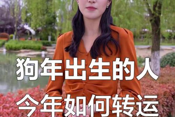 属狗人中午12点出生的命运解析与运势