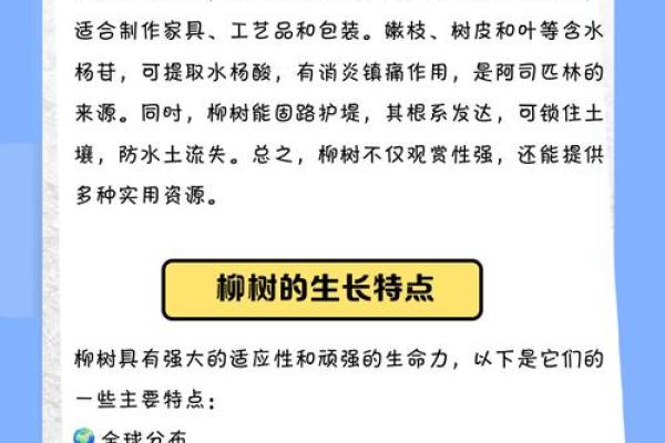 柳树木命的人适合从事哪些职业？探讨职业选择与性格特点的关系