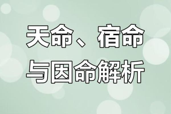 命理大师教你如何利用命理改变人生轨迹