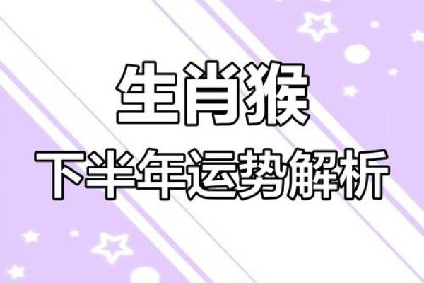 猴子运势探秘：揭开十二生肖中猴子的命运风云！