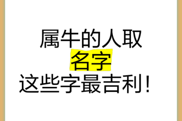 1973属牛女人的命运解析：智慧与坚定的生命旅程