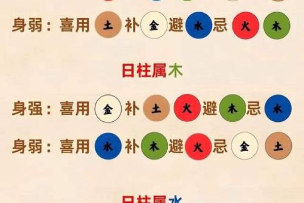 揭开命理之谜：81命与五行之关系分析