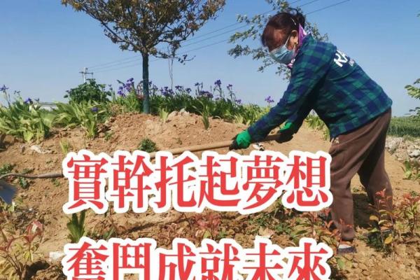 命带多劳，人生的辛勤与奋斗之路探析