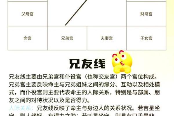 探寻1968年出生的命运密码：人生与运势的奥秘解析