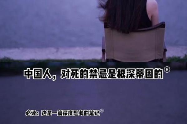 28岁老鼠的命运解析：命理与生活的深度探讨
