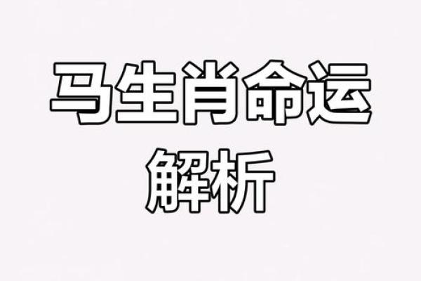 如何判断自己的命运与生肖的关系：揭开中国传统命理的神秘面纱