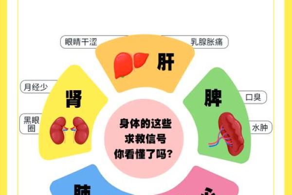 火命人的理想体型及健身养生秘籍