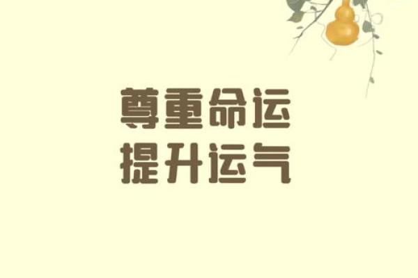 运气与命运的交织：你为什么觉得运气总是差？