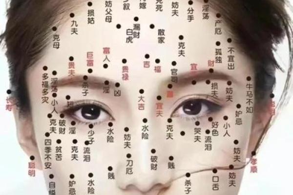 女生鼻子塌的命运分析：神秘面相与性格关系探讨