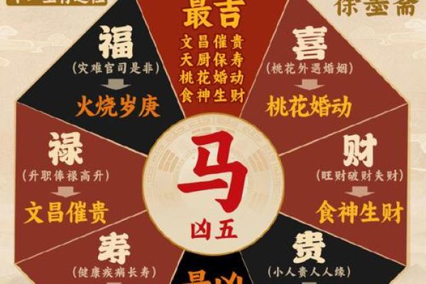 2002年属马，知命之旅：揭示你的生肖与命运关系
