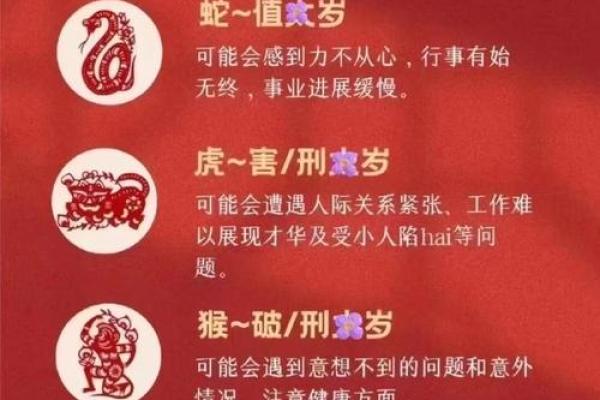 属猪的人命运解析：财富与幸福的永恒追求