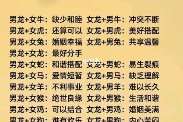 生肖中的木命：岁月轮转的生命哲学