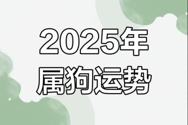属狗1969年出生的人命理分析与生活指南