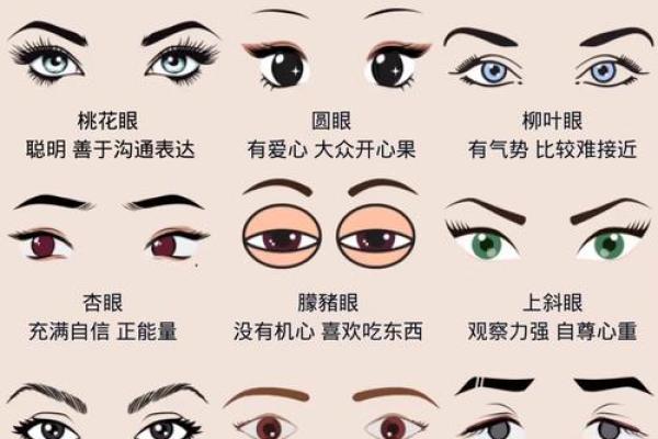 女人眉头竖着的命运：眉头纹解读人生的秘密与运势
