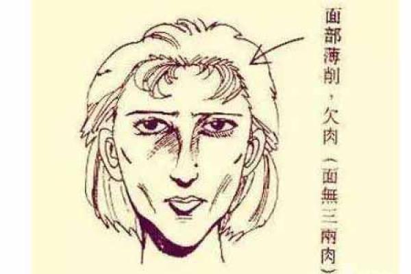 女人眉头竖着的命运：眉头纹解读人生的秘密与运势