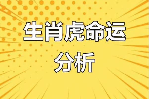 了解山头火命：性格、星座与命理的深度解析