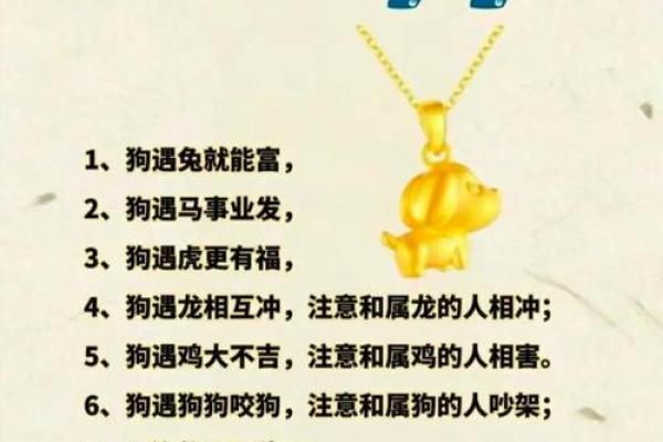 狗年火命的幸运符—如何选择合适的佩戴物件
