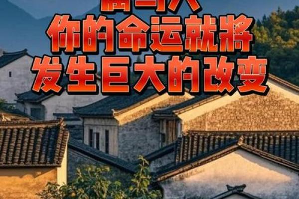 1993属马人的命运解析：奔腾岁月中的机遇与挑战