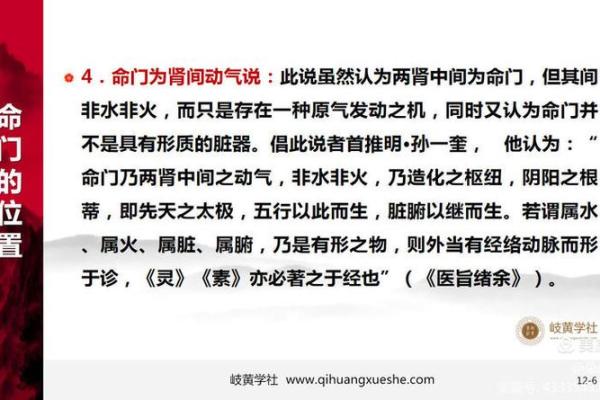 揭秘藏象学：揭开你命运的面纱，从五行属性看个体命理！