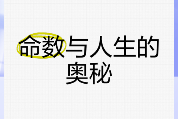 探秘命格人生：算算你的命属于哪一类！