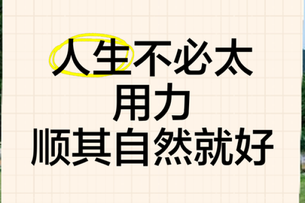 无过之命的内涵与启示：人生中的顺其自然