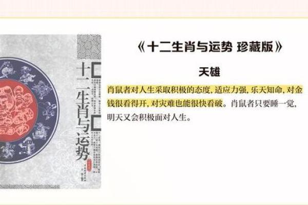 1991年属鼠的命理分析：揭示其性格与人生运势