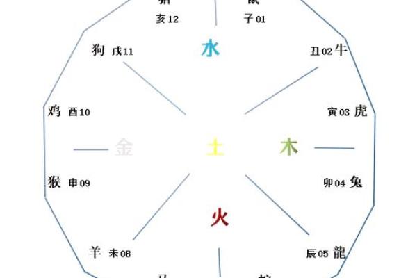 1991年属鼠的命理分析：揭示其性格与人生运势