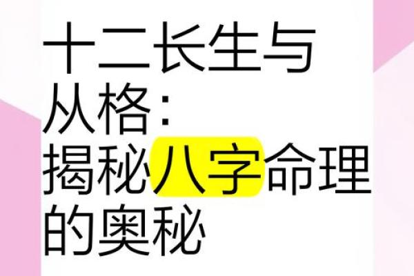 探索乙亥戊寅己丑命的命理奥秘与人生启示