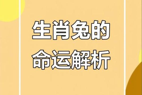 兔年运程分析：2023年兔命人运势全解！