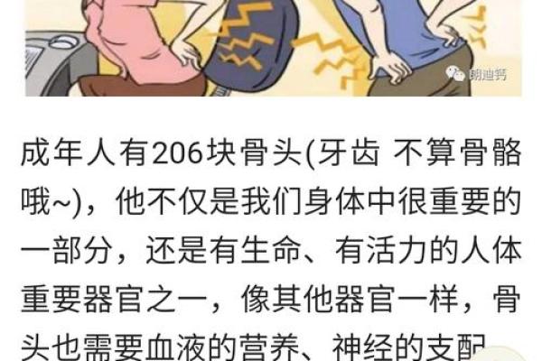 揭秘骨重3.8，探索其背后的命理与人生意义！