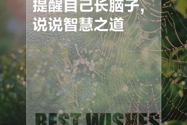 没权有财，生活的另一种选择与智慧之道