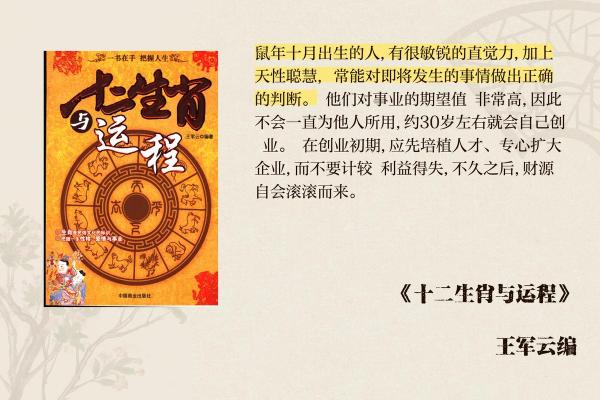 金鼠命理解析：金鼠是什么命，揭秘生肖鼠的性格与运势！