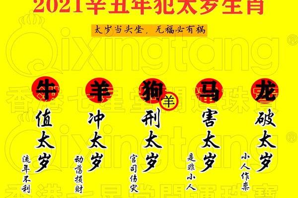 探索1996年出生之命：个性特点与人生运势分析