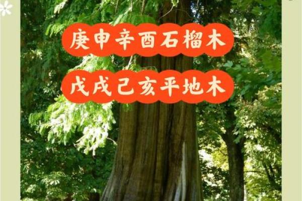 庚申石榴木命佩戴物品全解析，提升运势的秘密！