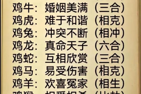 93属鸡的人命运解析：性格、运势与人生机遇