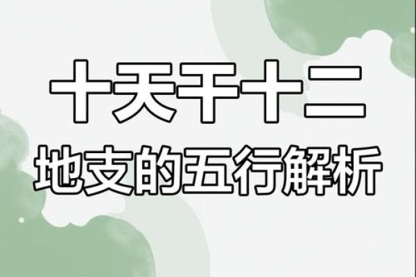 探索2005年甲申猴的命理之旅：揭开天干地支的奥秘