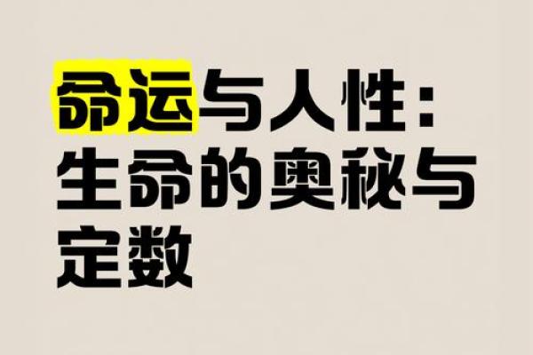 探索定命：命书的奥秘与智慧，助你人生更顺畅