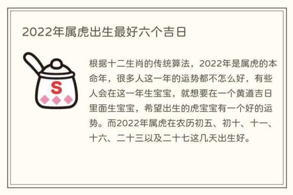 明天出生虎宝宝的命运与性格大揭秘！