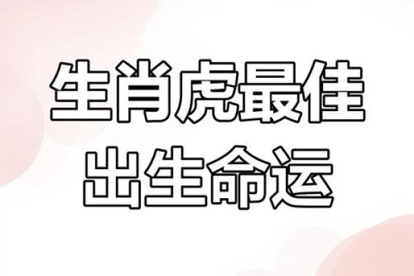 明天出生虎宝宝的命运与性格大揭秘！