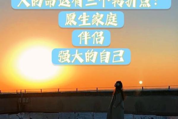 2004年：命运与转折的年份，揭示生命的奥秘与机遇