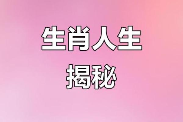 2006年，命运之年：从生肖到人生轨迹的探索