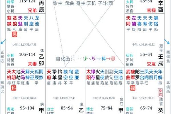 91年女生命运解析：她们的性格与人生轨迹