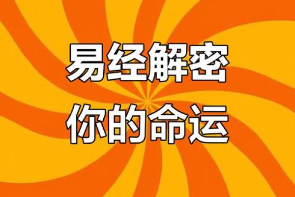 什么身什么命：解读人生的宿命与际遇