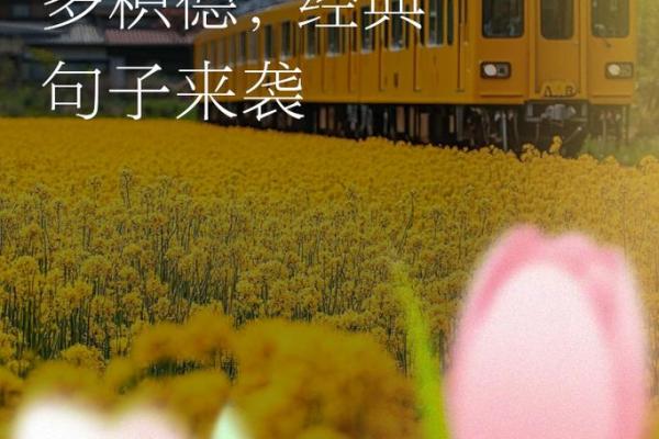 行善积德：为何善举能改变命运的秘密