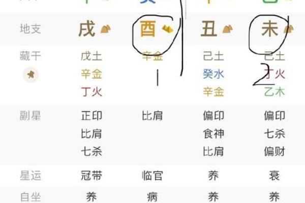 揭开算命之谜：如何找到家中缺失的命理元素？