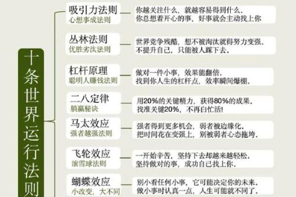 算命与媒婆的命运交织：穿越传统与现代的智慧之旅