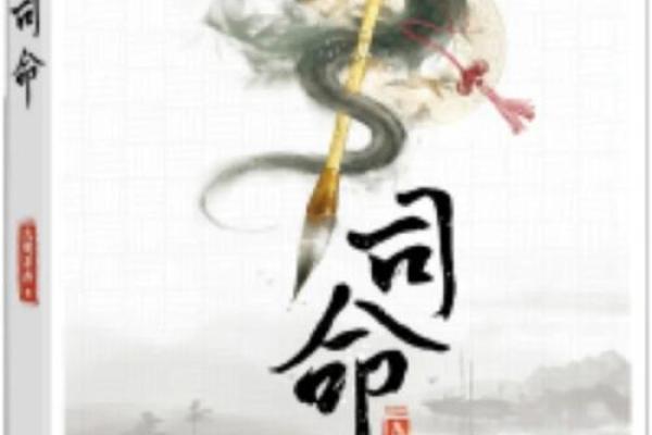 《九命灵猫：命运的转折与生命的启示》