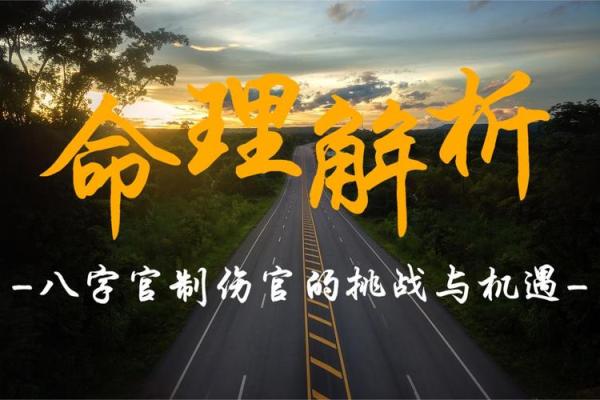 1997年出生的人命理分析：命中的机遇与挑战
